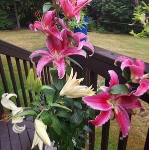 Meet your Posher, Jeannette